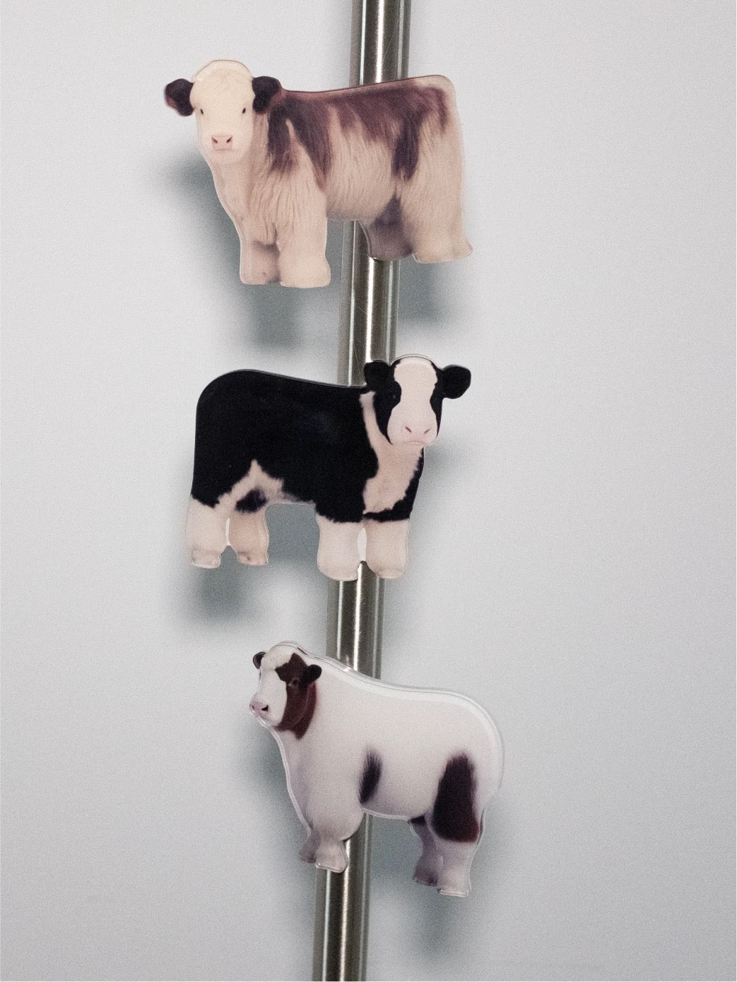 HooBin® HEILAN COO MAGNET